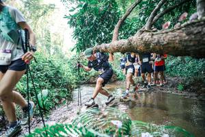 BIB: 
                            <button type="button" onclick="openModal(25475935)" class="btn btn-primary btn-sm float-right btn-popup" data-toggle="modal" data-target=".modal-high-quality">
                        <i class="fas fa-shopping-cart"></i> Add to Cart
                    </button>
                                            <button type="button" onclick="isThisMe(25475935, true)" class="btn btn-success btn-sm float-right btn-popup btn-isme hidden" data-toggle="tooltip" data-placement="bottom" title="นี่คือรูปของคุณใช่ไหม คลิกที่นี่เพื่อเอาเข้าอัลบั้ม">
                        <i class="fas fa-plus"></i> Add to album
                    </button>
                    <button type="button" onclick="isThisMe(25475935, false)" class="btn btn-warning btn-sm float-right btn-popup btn-isnotme hidden">
                        <i class="fas fa-ban"></i> Remove from album
                    </button>